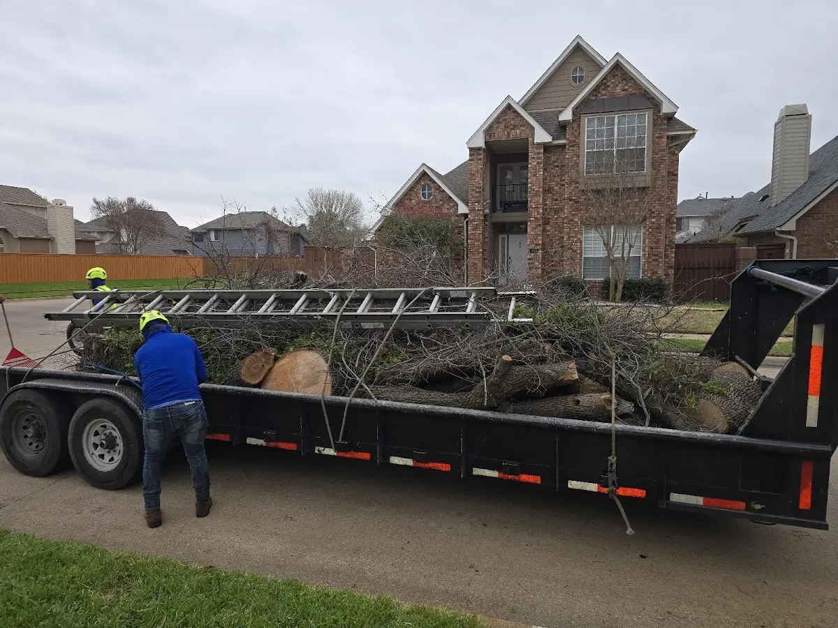 Expert Tree Removal with proper safety equipment in Frenchtown